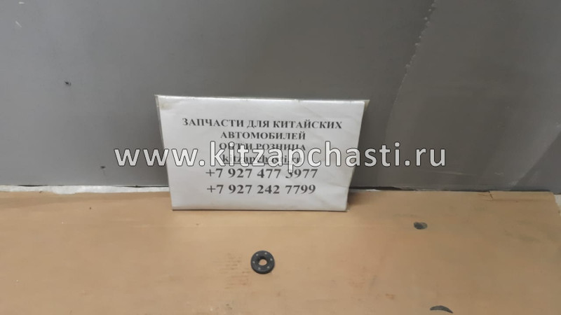 Сальник балансира HAVAL H9 2pecт 1002500XEC01