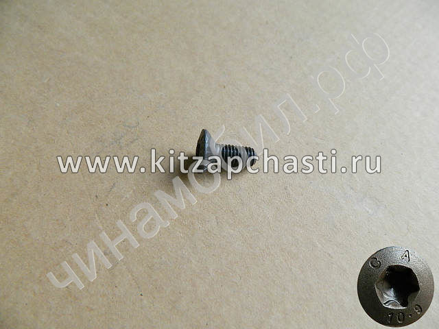 Винт крепежный диска коленвала HAVAL H9 2pecт 1005017XEC01