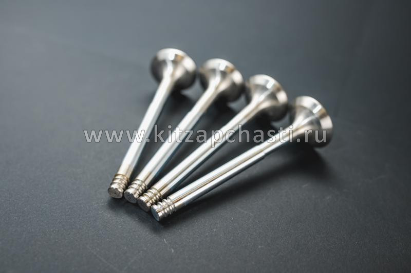 Клапан выпускной HAVAL F7x 2pect 1007012XEN01