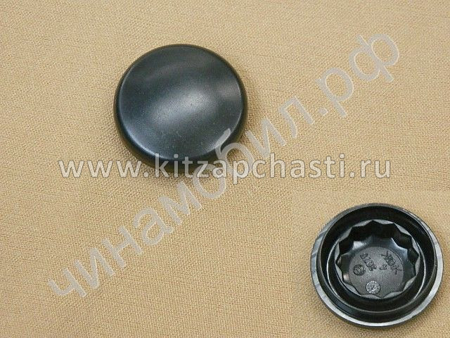 Заглушка стеклоочистителя переднего  HAVAL F7 5205133XKU00A